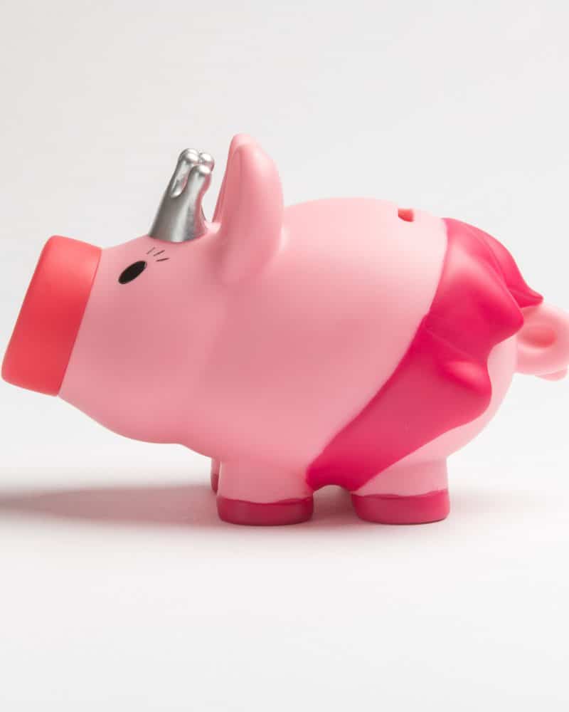 Piggy Bank Princess Pink Very Special Kids